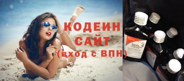 прущие грибы Бородино