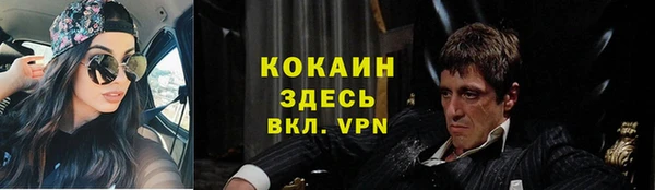 хмурый Тында