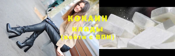 прущие грибы Бородино