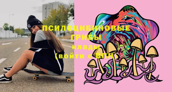 прущие грибы Бородино