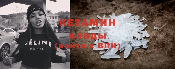 прущие грибы Бородино