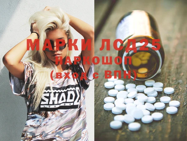 хмурый Тында