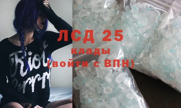 гашик Верея